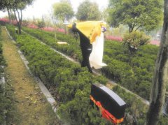 “活人墓”的广告语:清